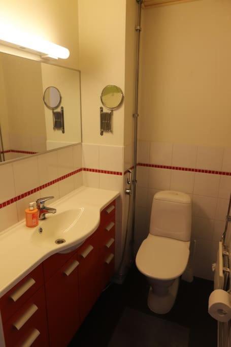 Апартаменты 130m2 With Sauna In Citycenter