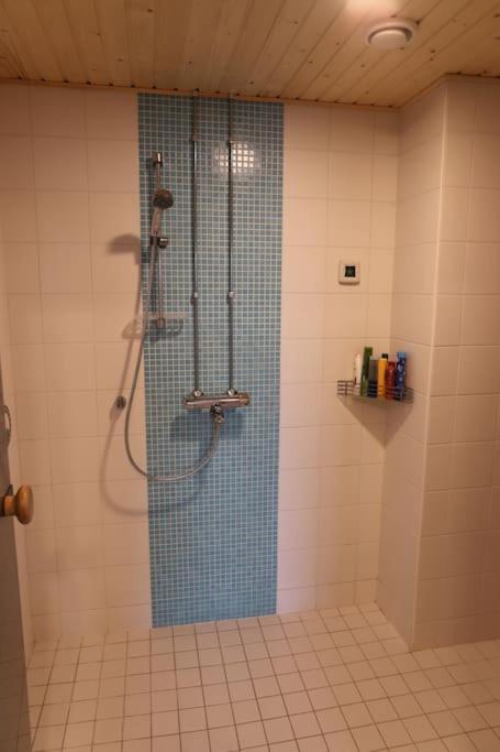 130m2 With Sauna In Citycenter Апартаменты